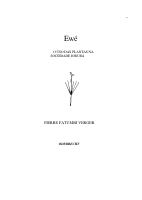 Pierre Verger-Ewe.pdf.pdf